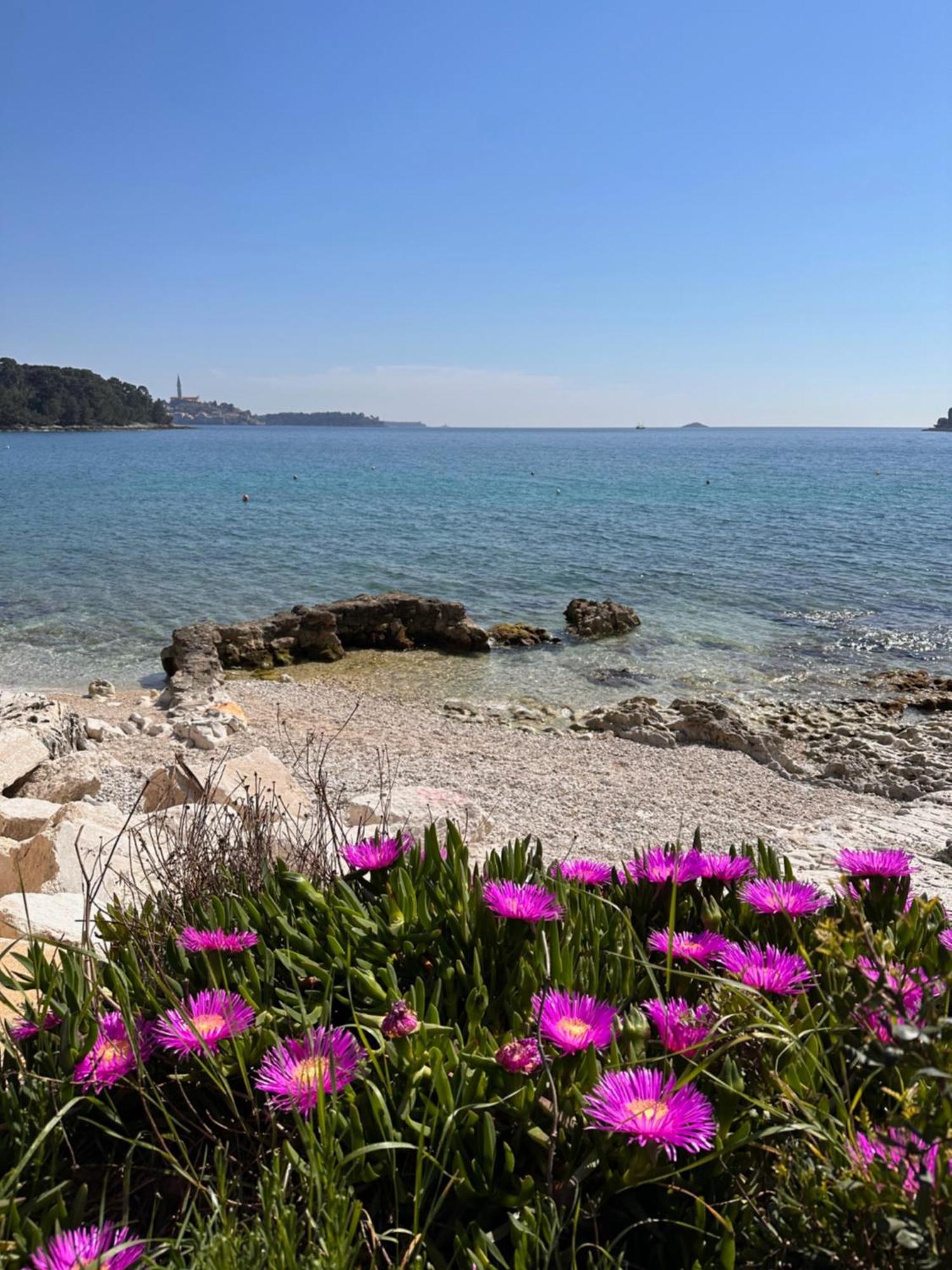 Villa Anthony Rovinj Exterior photo
